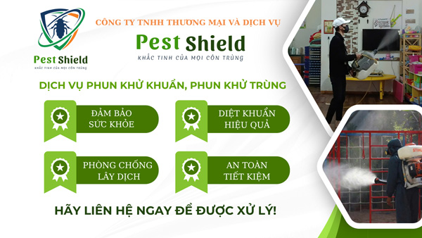 Dịch Vụ Phun Khử Khuẩn Uy Tín, An Toàn