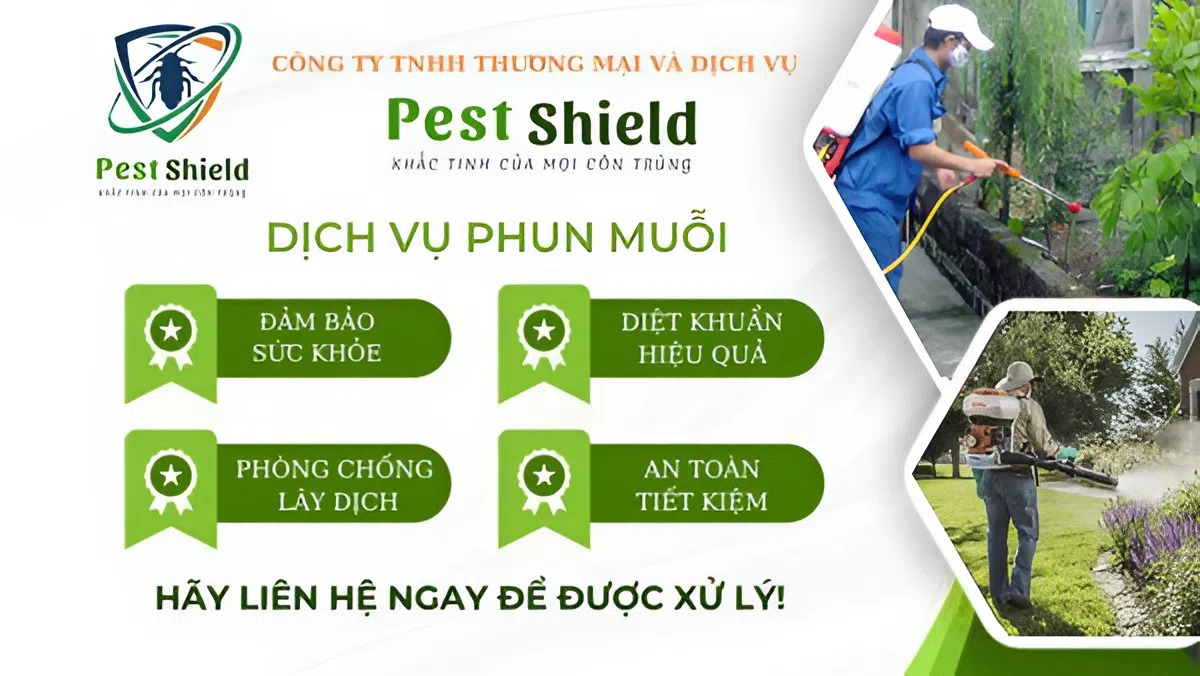 Dịch Vụ Phun Muỗi Hiệu Quả